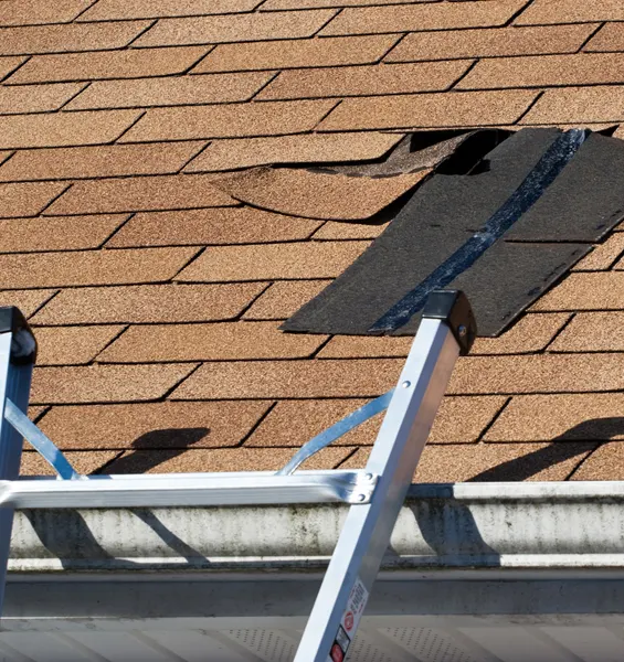 roofing problem warning signs southern illinois