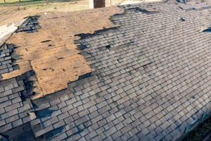 Carbondale, IL signs you need roof repair